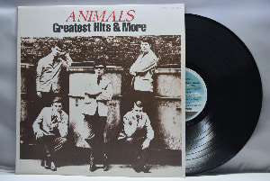 Animals [애니멀즈] - Animals Greatest Hits &amp; More - 중고 수입 오리지널 아날로그 LP
