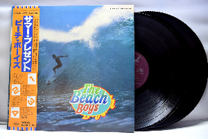 The Beach Boys [비치 보이스] - The Beach Boys ㅡ 중고 수입 오리지널 아날로그 2LP